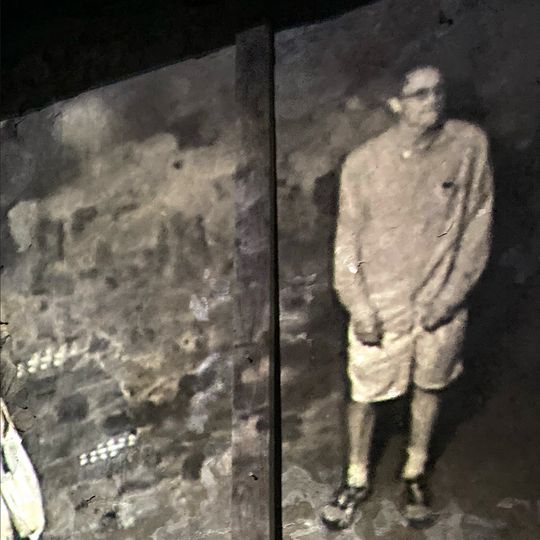 Bergsonist w/ G.Zifcak