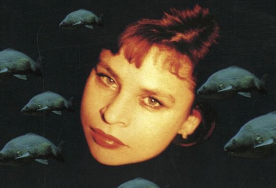 In Focus: Donna Regina