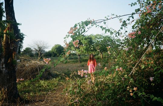 Calm Roots w/ Alex Rita