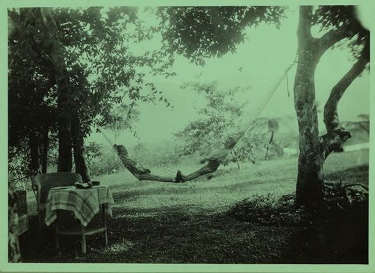 Carlos René: Primavera en la hamaca